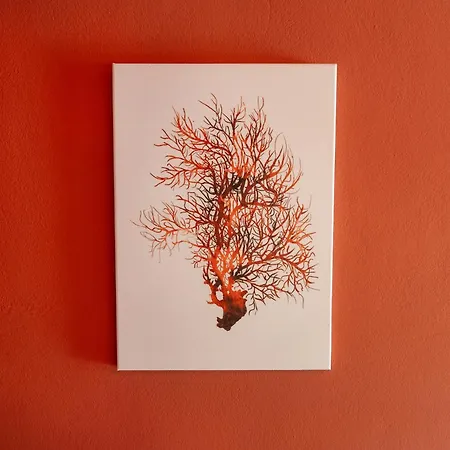 Coral