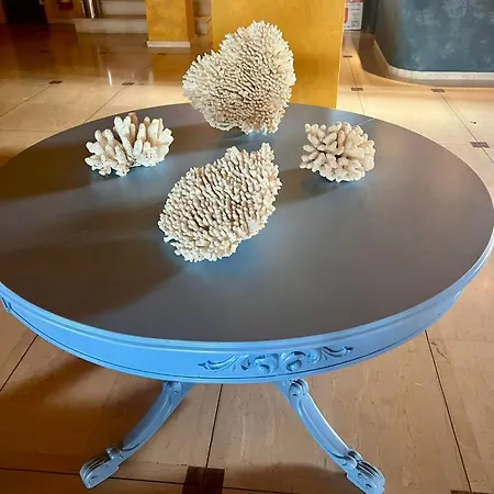 Coral 4*